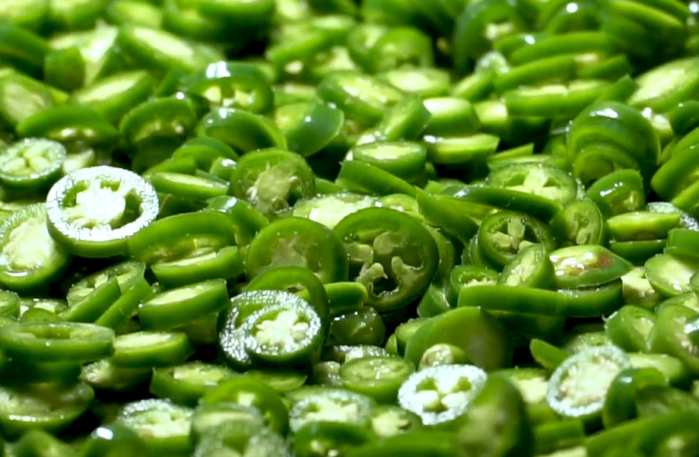 Jalapeno Peppers Hausbeck