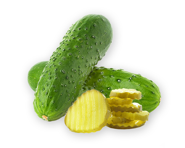 Pickles and pickle slices
