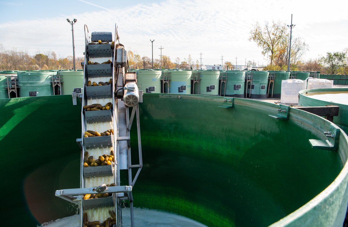 HP-Plant-Tanks-Pickles Hausbeck pickles