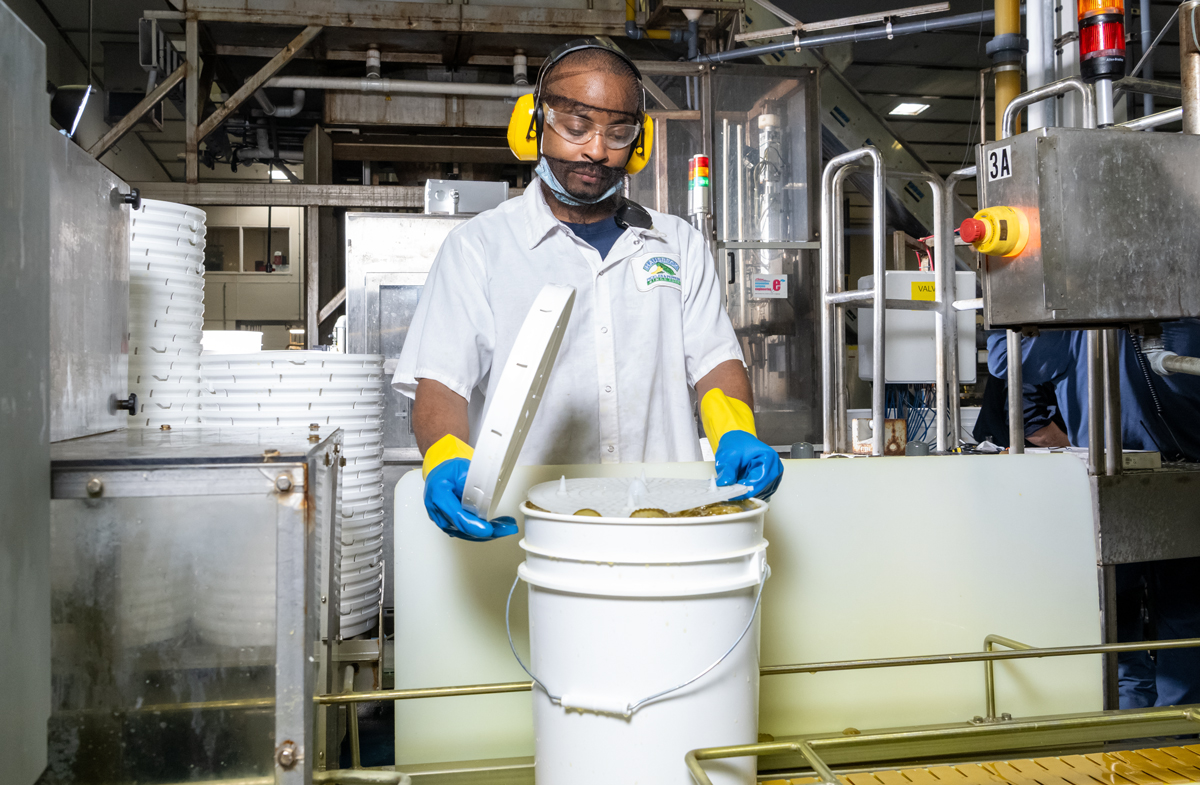 Packaging pickles in 5-gallon pails
